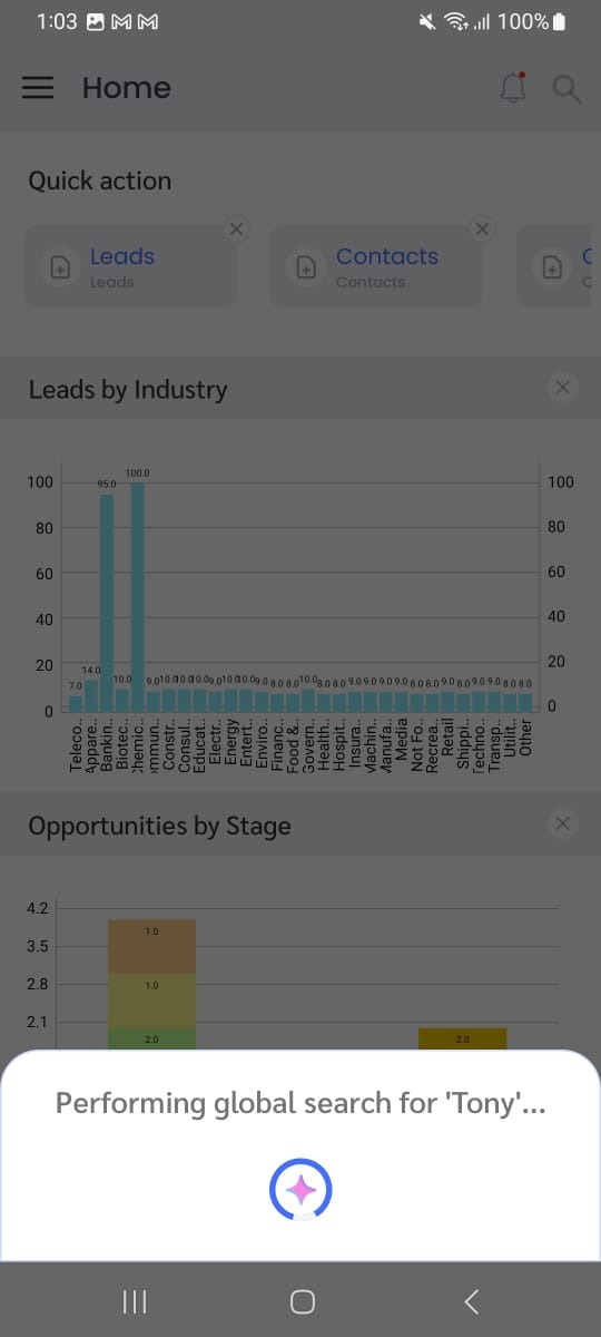 Performing Global Search